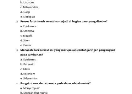 5 Contoh Soal Biologi Essay Kelas X Semester 1 Beserta Jawabannya, Wajib Tahu Sebelum Ujian