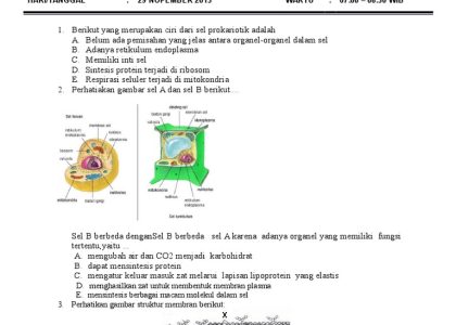 5 Contoh Soal Biologi Kelas 11 Semester 1 Beserta Jawabannya yang Wajib Dikuasai Sebelum Ujian