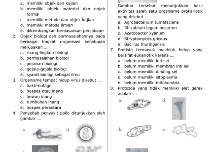 Akhirnya Terungkap Kunci Contoh Soal Biologi Kelas 10 Semester 1 Bab 1, Jangan Sampai Salah Jawab