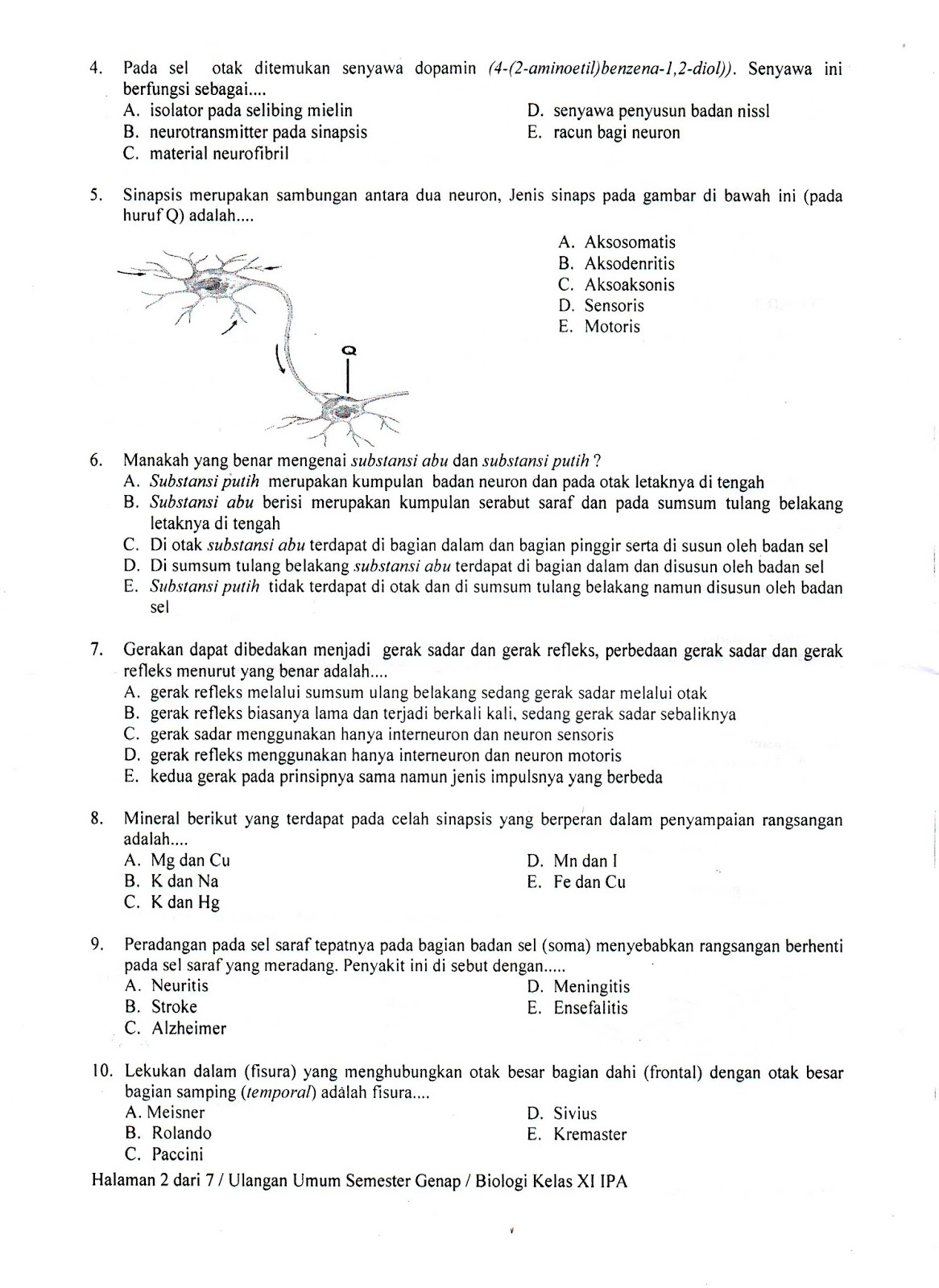 Biologi Kelas 10 Semester 2 Dalchaebi Biologi Kelas 10 Semester 2 Dalchaebi