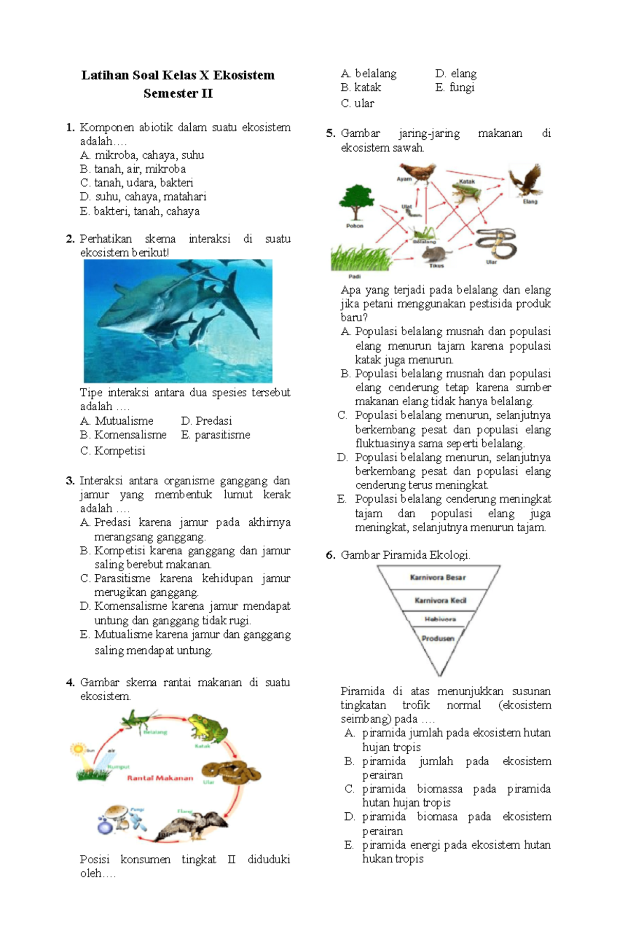 Download Latihan Soal Ekosistem Kelas X Semester II - PDF Download