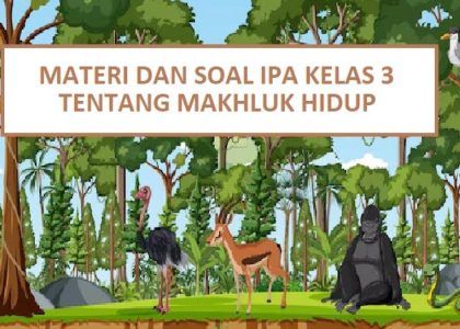 Ternyata Ini Dia Jawaban Soal Tema Satu Kelas 3 Makluk Hidup Halaman 168 yang Wajib Diketahui